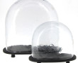 Lot de 2 globes modernes en verre, sur b