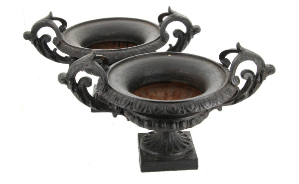 Paire de vasques de jardin en fonte diam