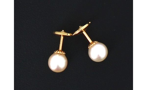 Paire de puces d'oreilles en or jaune 75