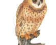 GOEBEL - Hibou, sujet en biscuit de porc
