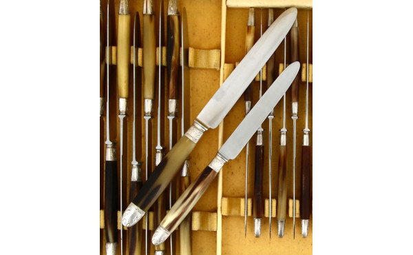12 couteaux de table et 12 couteaux à en