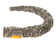 Pommeau de canne ancien en argent, décor