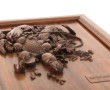 CHINE - Beau panneau en bois exotique sc