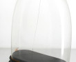 Globe ancien en verre et base en bois no