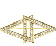NINA RICCI - Broche en métal doré et str