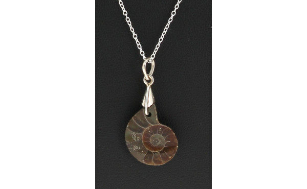 Pendentif façon amonite fossilisée sur c