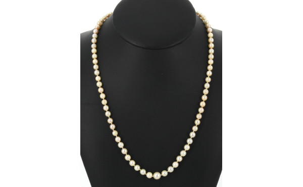 Collier en perles de culture en chute, f