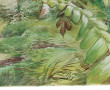 Atelier ARNAI & JULIEN à Marseille (XIXè