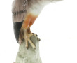 "Aigle sur un tertre rocheux", sujet en 