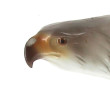 "Aigle sur un tertre rocheux", sujet en 