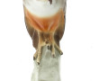 "Aigle sur un tertre rocheux", sujet en 