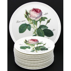 ROY KIRKHAM (Angleterre) - Décor de rose