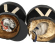 Deux chapeaux de grognard avec petits lo