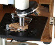 Microscope Paralux dans son coffret bois