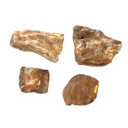 BOIS PETRIFIE - 4 morceaux en bois pétri