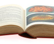 "L'Art Culinaire Français", fort volume 