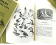 Thème CHASSE - Joseph OBERTHUR - Collect