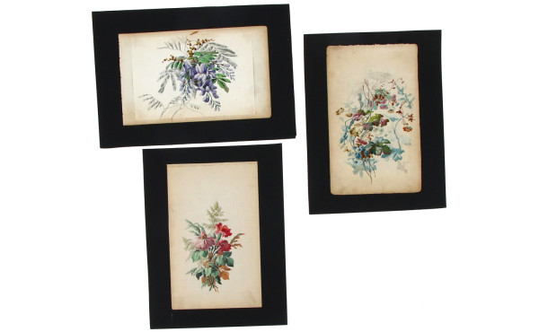 Ecole Française XIXème Lot de 3 aquarell