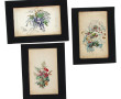 Ecole Française XIXème Lot de 3 aquarell