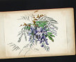 Ecole Française XIXème Lot de 3 aquarell