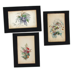 Ecole Française XIXème Lot de 3 aquarell
