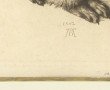 D'après Albrecht DÜRER (1471-1528) "Le l