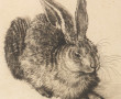 D'après Albrecht DÜRER (1471-1528) "Le l