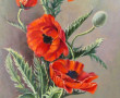 DUQUESNE-BONTE (Xxème) "Pavots", huile s