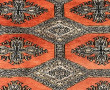 2 tapis: Un tapis pakistanais dans les t