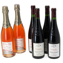 Lot de 6 bouteilles: - 4 B SAUMUR CHAMP
