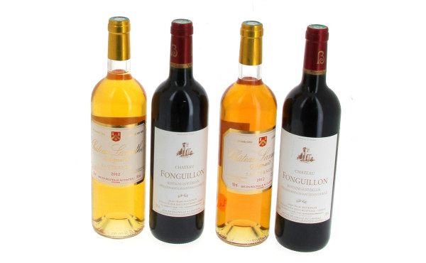 Lot de 4 bouteilles: - 2 B MONTAGNE St 