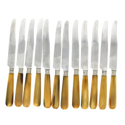 12 couteaux de table anciens, manches co