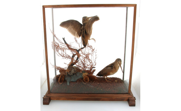 DIORAMA - "Deux bécasses branchées", dio