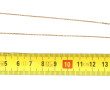 Collier fleur en or jaune 18 carats poin