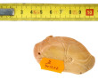 Netsuké en bois à décor d'une tortue L. 