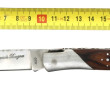 LAGUIOLE Bougna - Couteau pliant manche 