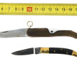 Lot de 2 couteaux miniatures dont un de 