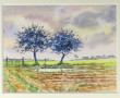 Roger HAROT (1928-2003) "Contre-jour", a