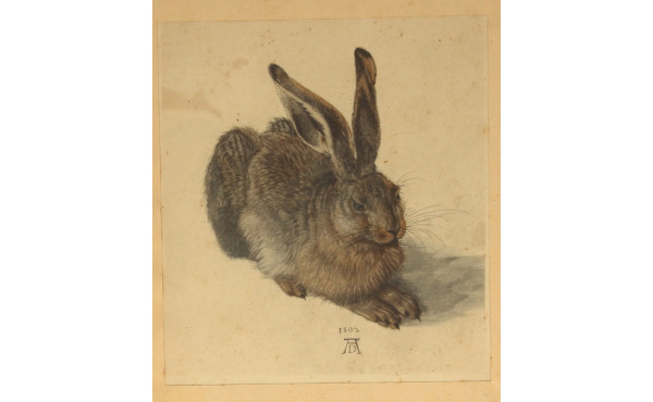 D'après DURER "Le lièvre", gravure en co