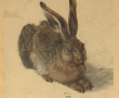 D'après DURER "Le lièvre", gravure en co