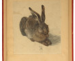 D'après DURER "Le lièvre", gravure en co