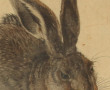 D'après DURER "Le lièvre", gravure en co