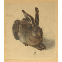 D'après DURER "Le lièvre", gravure en co