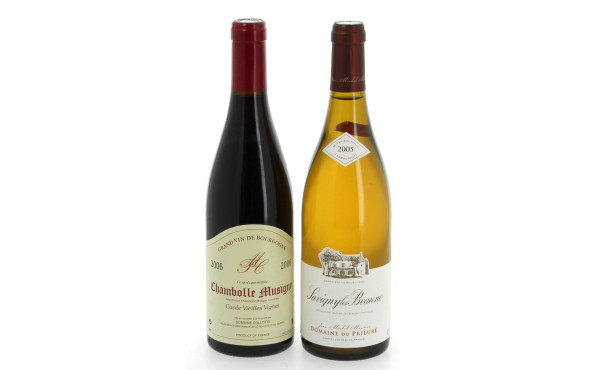 Lot de 2 B : 1B Chambolle Musigny dom. C