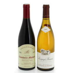 Lot de 2 B : 1B Chambolle Musigny dom. C
