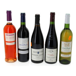 Lot de 5 bouteilles: - BORDEAUX SUPERIE