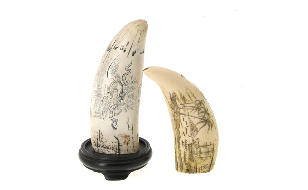 Lot de 2 copies de Scrimshaw à décor sur