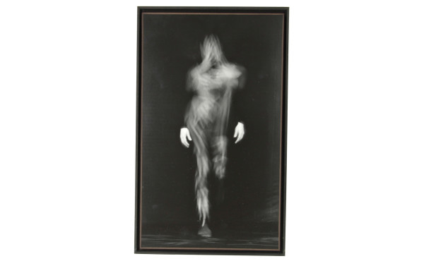 PHOTOGRAPHIE - Laurence DEMAISON (1965) 