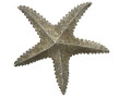 GUY LAROCHE Paris - Broche en métal arge