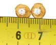 Paire de puces d'oreilles en or jaune 18